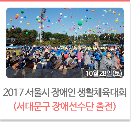 서울시 장애인 생활체육대회