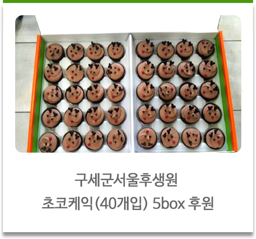 구세군서울후생원 초코케익(40개입) 5box 후원